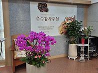 추수감사주일 & 새생명축제..