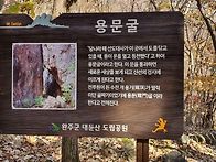 대둔산 용문굴 번개산행