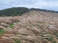 경주 동대봉산 무장봉(62..