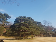 청와대