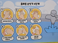 급식센터 위생교육(손씻기..