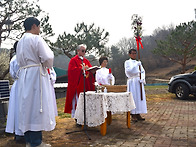 성지주일 주님 입성