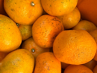 [ 핫딜 ] 제주도 ..