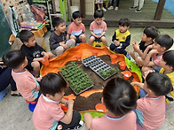 토마토 심기/행복..