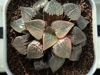 2026년 4월 30일 출석부