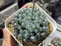 행사 당일 안내사항