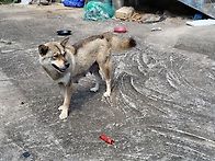 소박미