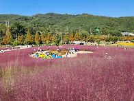 합천 핫들 핑크몰리