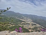 천주산 ㅡ문경(진달래명산..