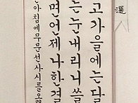 양지혜