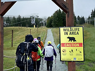 Blackcomb Ascent T..