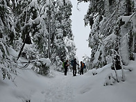 St. Mark's Summit