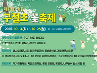 &#128174; 제18회 정읍 구절초 꽃..