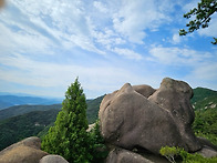 감암산