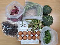 9월 24일 꾸러미편지