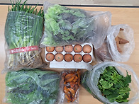 3월 25일 꾸러미 편지