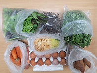 2월 4일 꾸러미 편지