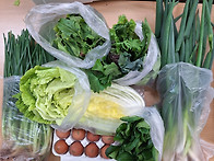 11월 12일 꾸러미 편지