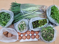 3월 11일 꾸러미 편지