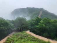 2026/07/05 독용산 산행