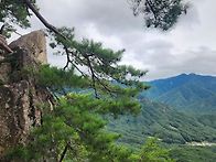 2026/08/09 구봉산 산행(..