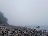 태안솔향기1코스