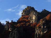 산에서 나와야 산이 보인다