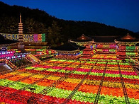 부산 삼광사 연등 축제