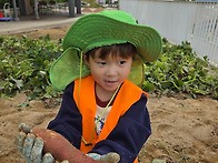 10/30 고구마수확