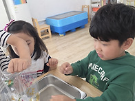 10/15 과학실험) 고슴도치..