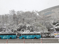 도심 의 눈 산