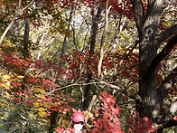 2025.11.05.(수) 전북 ..