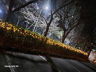 밖 성탄트리 수고에감사드..