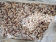 페루 오징어다이스(다짐)..