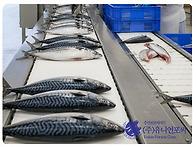 📊 노르웨이 ..