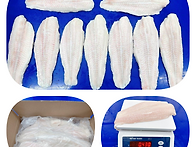 베트남산 냉동 팡가시우스..