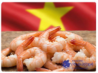 베트남산 냉동 흰..