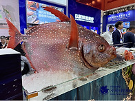 2025 중국 칭다오..