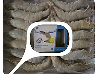 냉동 흰다리새우 주간 도매..