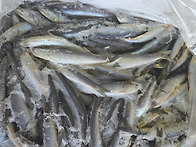 미국 냉동멸치(식용A급) ..