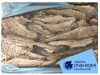 &#128201; 9월 4주차..