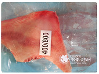 2026년 냉동 가오리 수입..