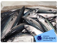 &#128031; 노르웨이산..