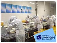 &#128204; 중국산 수..