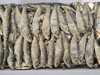 베트남 마른밴댕이 판매 ..