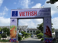 Vietfish 202..