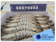 냉동 얼룩새우 주간 도매 ..