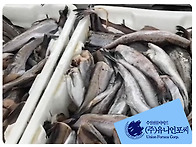 &#128204; 2025년 11..