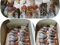 [ 말레이시아 ] 냉동 스칼..