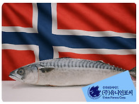 노르웨이 고등어 가격, 한..